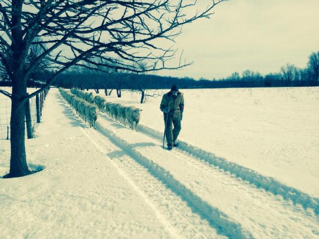 walk