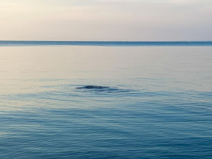 The Ripple Rock β Smuggling Grace